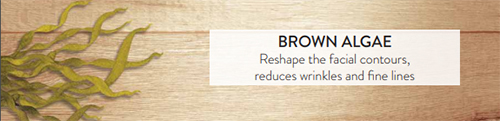 Brown Algae: Reshape the facial contours, reduces wrinkles and fine lines